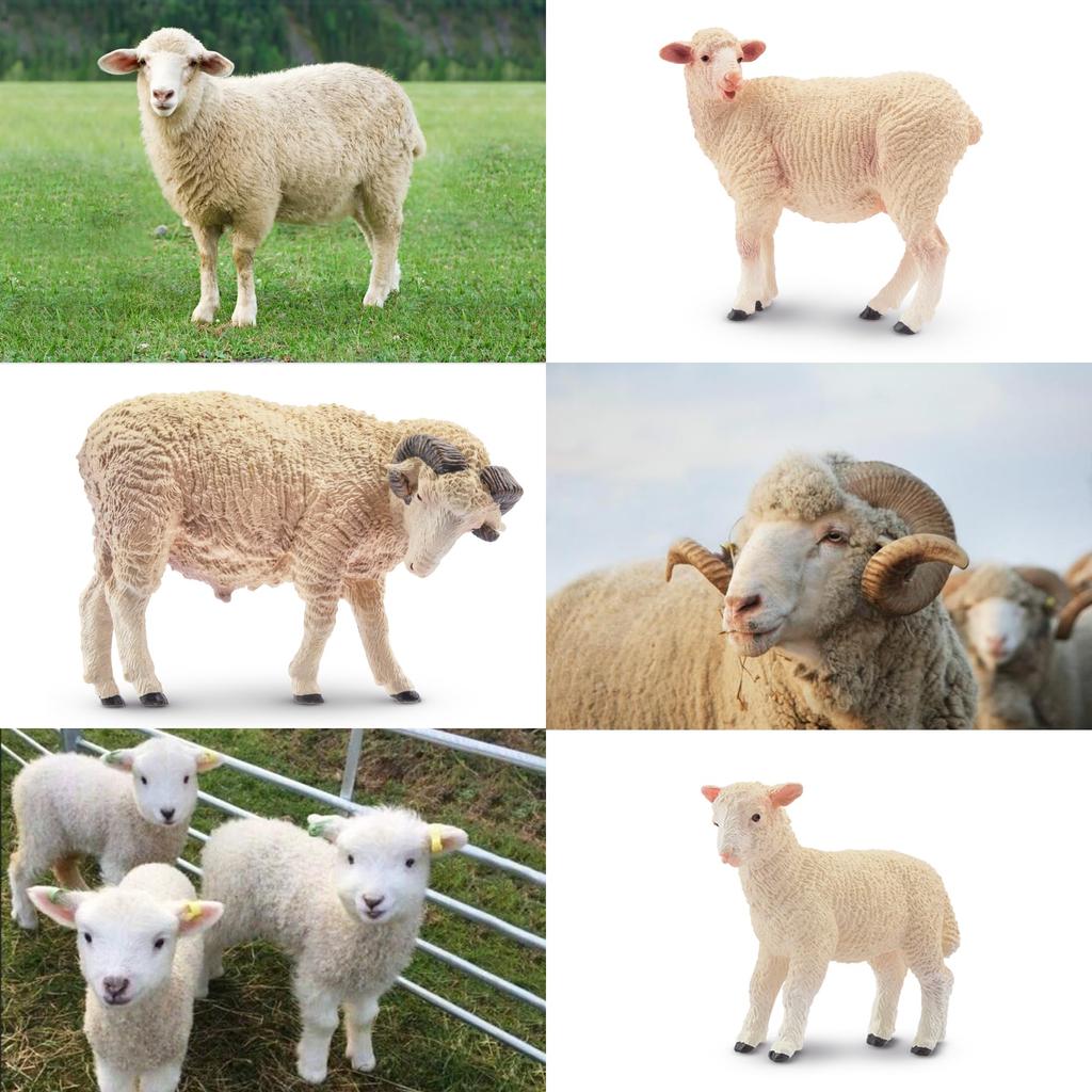 TOYMANY 8-Piece Farm Animal Figure Set, Sheep Figures, Sheep Family Set, Sheep Model, Parent and Child, Realistic Animal Model, Popular Animal Toy,