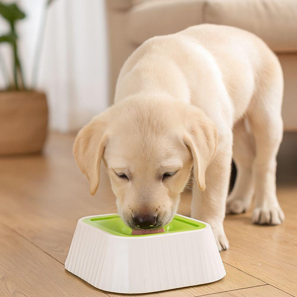 Plastic Pet Water Fountain Anti-Splash Non-Slip Base Floating Drinking Bowl Neck Protection Anti-Overturn Dog Water Bowl Travel