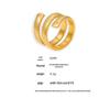 Europäischer & Amerikanischer Geometrischer Fadenring aus Titanstahl mit 18 Karat Vergoldung, Nicht verstellbares Offenes Design