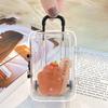 Transparent Jewelry Box Creative Mini Trunk Jewelry Organizer Simple Earrings Hairpins Storage Box Desktop Organizer Box