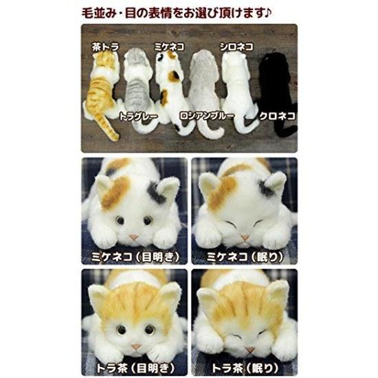 Japan-made Realistic Cat Plush Toy 58cm (Black Open Eyes)