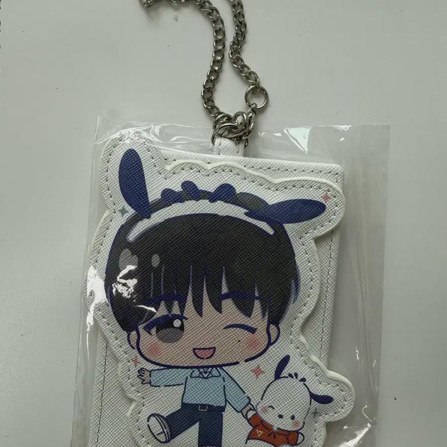 

Seventeen Коллаборация Sanrio Чехол для проездного Dk