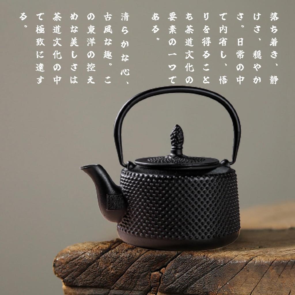 750ml Iron Teapot, Teapot, Teapot, Induction Cooking Compatible, Direct Stovetop, Japanese Tea Utensils, Handmade, Sencha, Tea Ceremony, Decorative, D