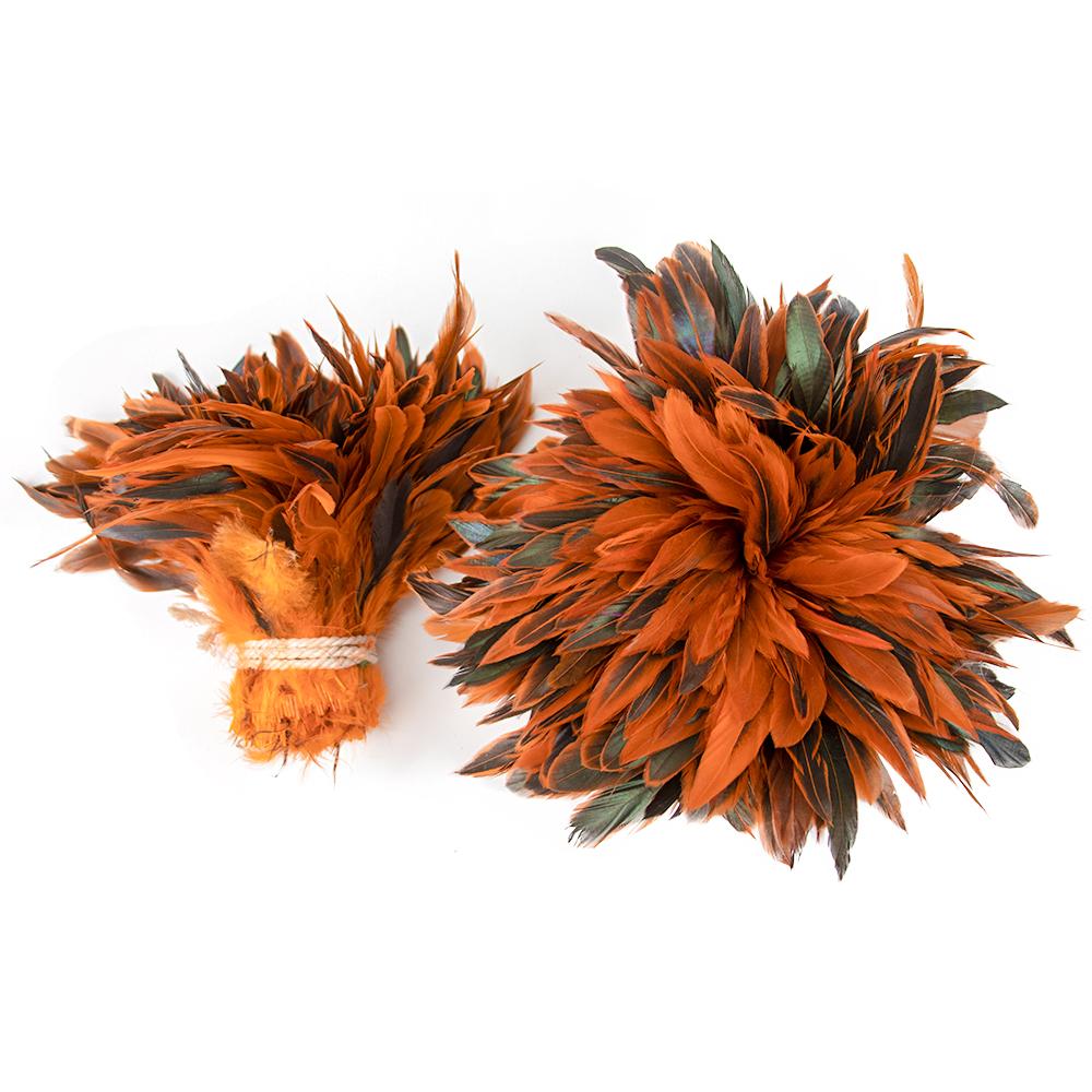 100Pcs Red Rooster Chicken Feathers Trims for Costume Party Clothimg Jewelry Making Natural Pheasant Tail 15-20 CM Multicolors