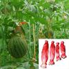 100pcs Watermelon Hammock Durable Heavy Duty Hanging Mesh Bag for Garden Fruits Vegetables Melon Net with Drawstring