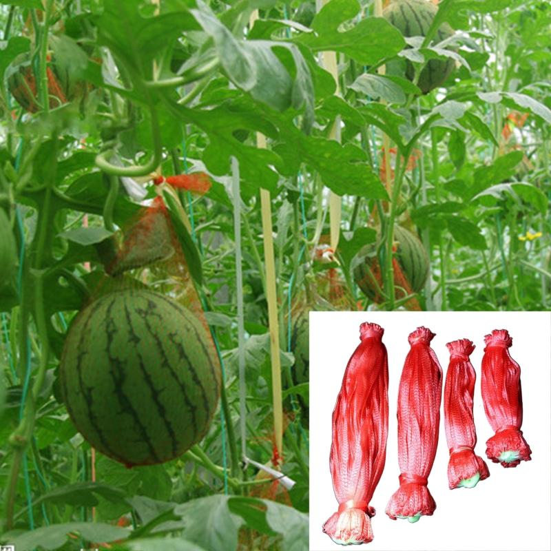 100pcs Watermelon Hammock Durable Heavy Duty Hanging Mesh Bag for Garden Fruits Vegetables Melon Net with Drawstring