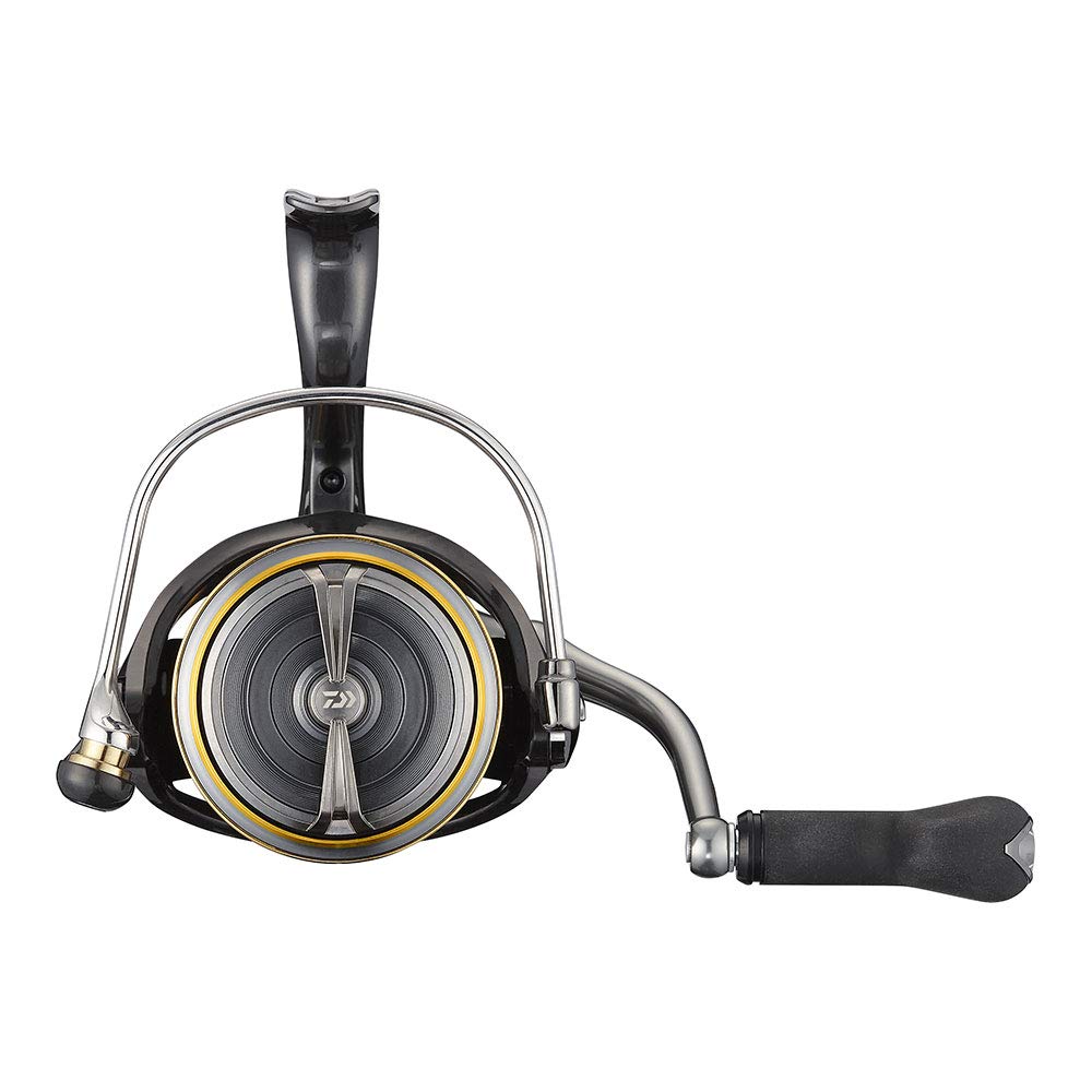 Daiwa 21 Rubias Airity LT4000-CXH