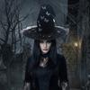 Black Halloween Witch Hat Velvet Halloween Black Cap Butterfly Wizard Cap  Halloween Party