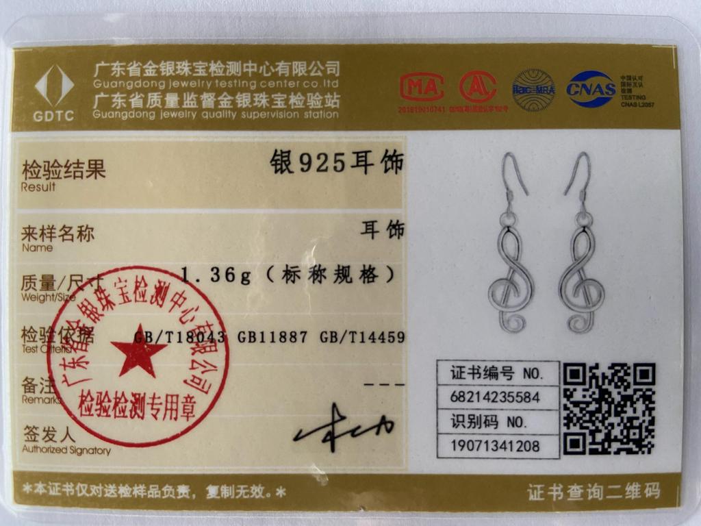 925 Sterling Silver Tone Pendant Earrings Fashion Jewelry