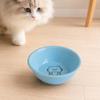 Raised Pet Bowl Ceramic Cat Bowl with Stand Tilted Pet Food Bowl Protect