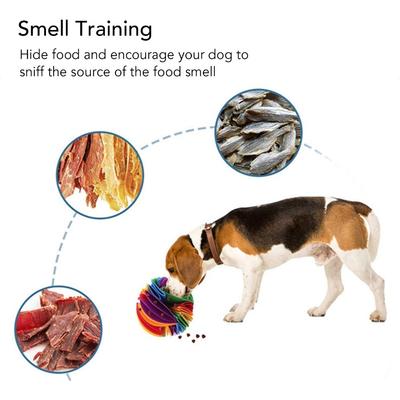 Köpek – Köpek oyuncakları