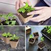 Square Peat Nursery Pots 150 Pcs 3in Biodegradable and Label, Used for Outdoor Gardens In Plant Nurseries