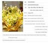 Outdoor LED Twinkling String Lights for Garden, Festival, Christmas, Wedding, Courtyard Decoration