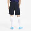 Puma Team Goal 23 Casual Shorts Men's Blue 656981-06