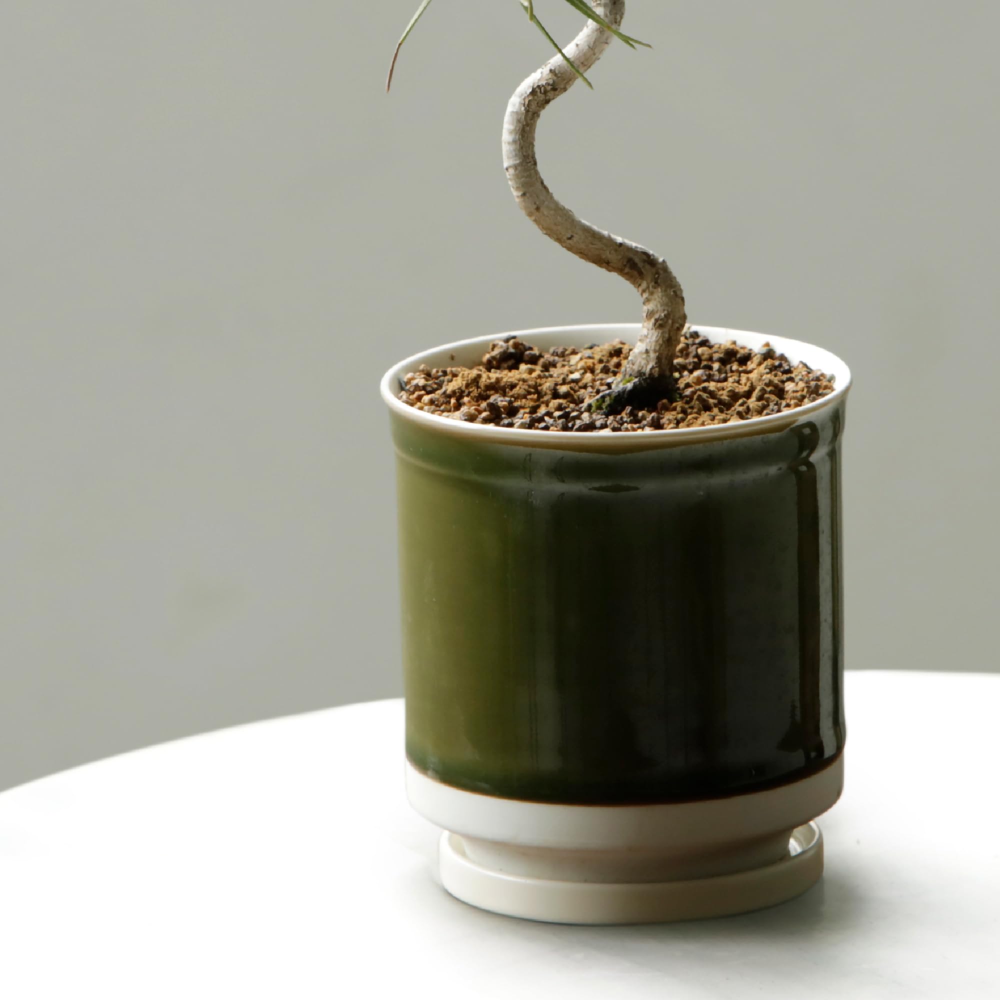 

Leaf88 Made in Japan Hasami Ware Flower Pot with Size and Saucer, 10.5x11.5cm, 3.5 (Matcha White)