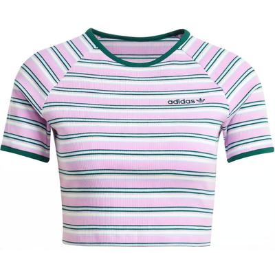 T-shirt Court Rayé à Col Rond Manches Courtes Femme Hauts Violet Clair JC6168