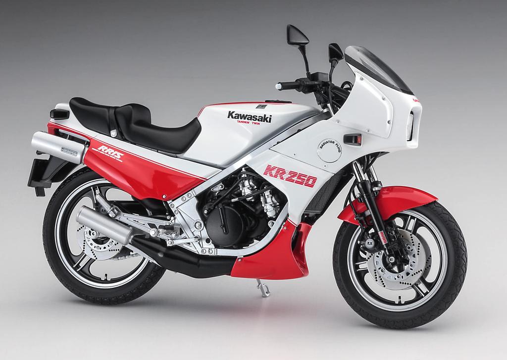 Hasegawa Kawasaki KR250 Plastic Model Kit 21745 1/12 (KR250A) White/Red