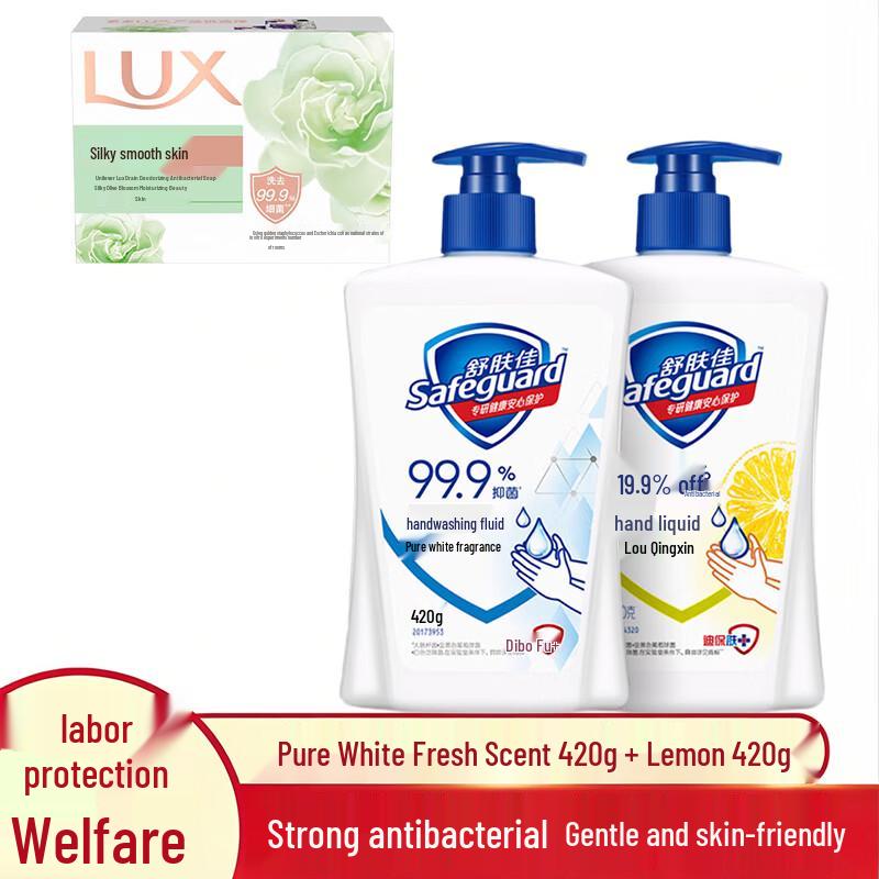 Safeguard Antibacterial Hand Wash & Lux Soap Set