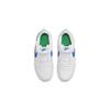 Nike Court Borough Low 2 PSV 'White Photo Blue' BQ5451-123