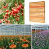 50W Full Spectrum LED Grow Light for Plants