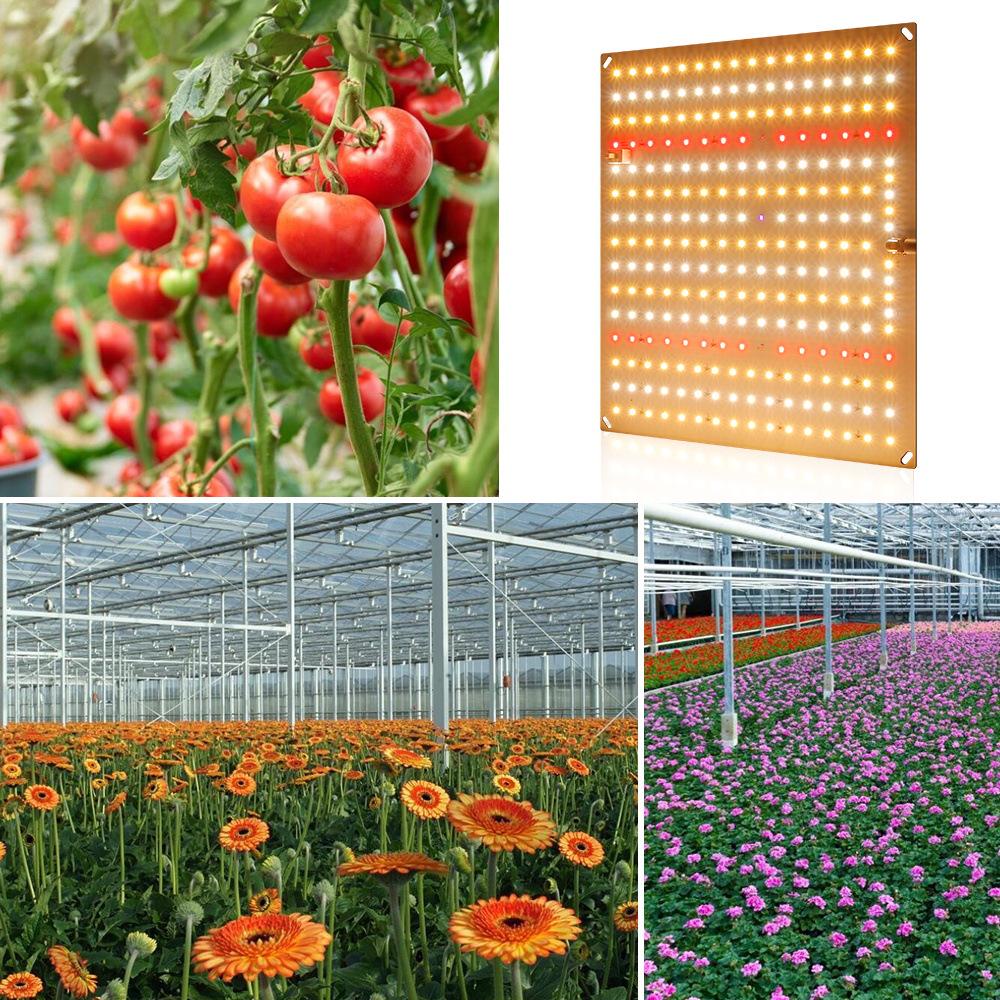 50W Full Spectrum LED Grow Light for Plants