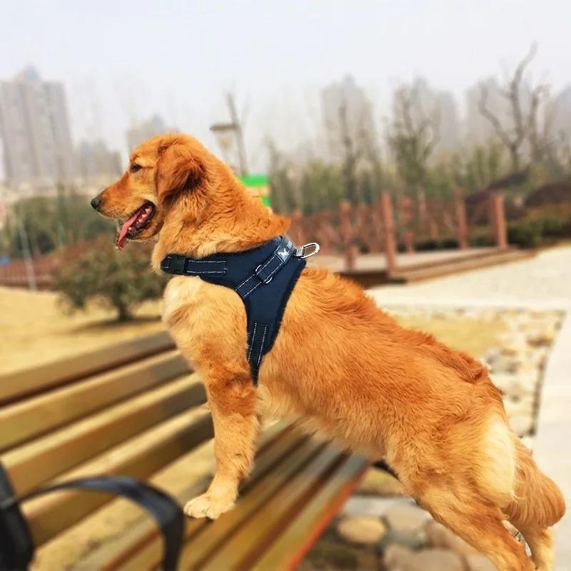 Classic Deluxe Edition High Quality A Large Dog Harness Outdoor Vest Pet Harness In Oxford
