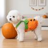 Kürbisbedruckte Kürbis Haustier Overalls Cartoon Haustier Halloween Outfit Haustier Halloween Kostüm Festlich
