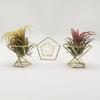 Ananas Pflanzenständer Geometrischer Luftpflanzenständer Puderdosenhalter Roségold (Material: Metall, Größe: Durchmesser 55MM)