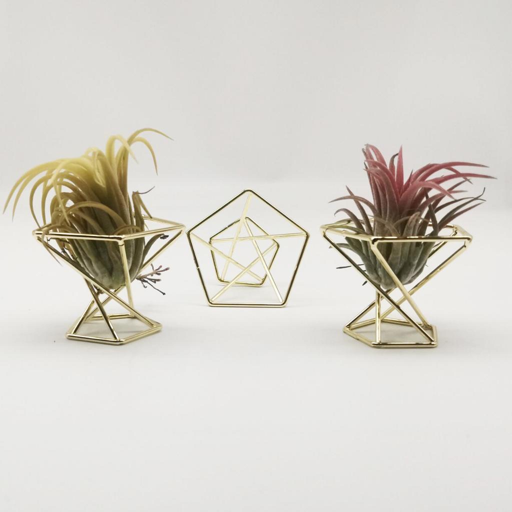 Ananas Pflanzenständer Geometrischer Luftpflanzenständer Puderdosenhalter Roségold (Material: Metall, Größe: Durchmesser 55MM)