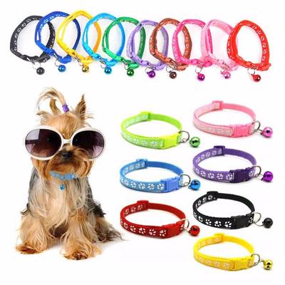 Perros – Collares y correas