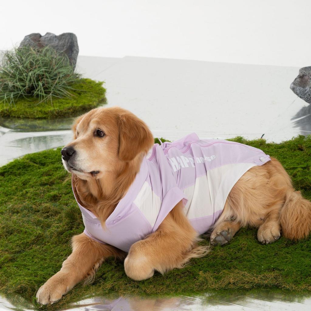 Big dog clothes simple purple summer thin large dog cool clothes golden hair sunscreen two feet jacket dog clothes