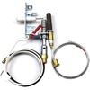 103778-01 /LPG8414 /PP225/ R3623 /14D0477 Propane Gas(LP) ODS Pilot Assembly Replacement Heater Parts, Fireplace