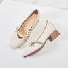 2025 Spring and Autumn New Medium Heel Early Autumn Autumn Shoes Late Evening Gentle Women's Shoes Mary Jane Grandma Shoes