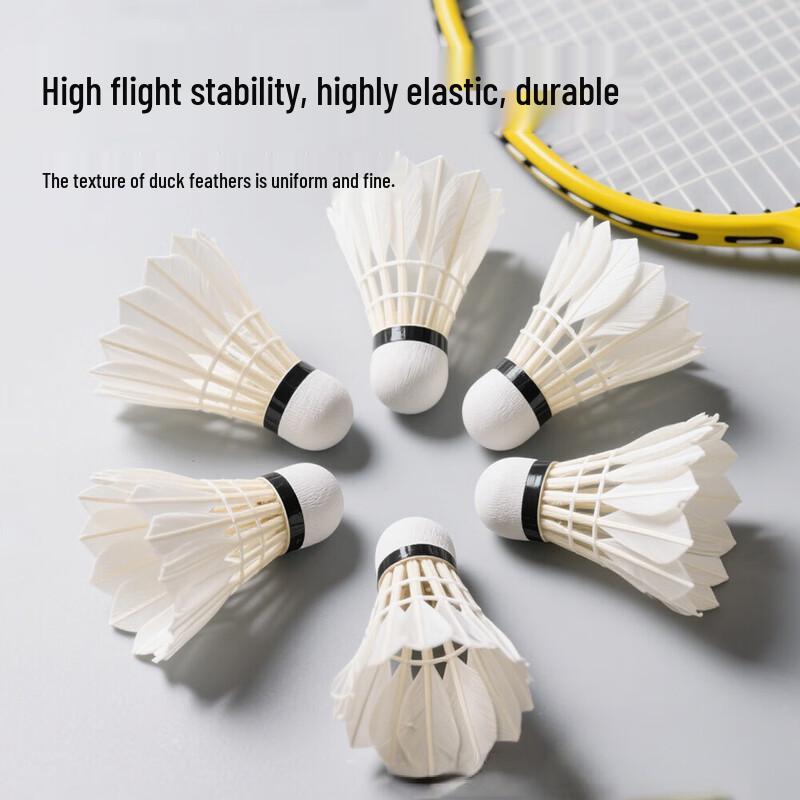 Xu Lin Goose Feather Badminton Shuttlecocks (12-Pack)