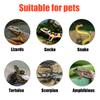 Reptilien Heizmatte Spinnen Skorpione Palast Wache Haustier Schlangen Eidechsen Igel Hamster Kriechende Tiere Isolationsmatte
