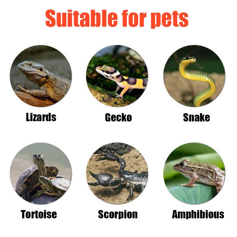 Reptilien Heizmatte Spinnen Skorpione Palast Wache Haustier Schlangen Eidechsen Igel Hamster Kriechende Tiere Isolationsmatte