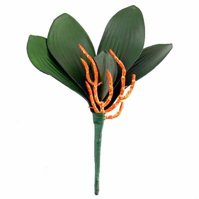 Simulation Artificial Phalaenopsis Plant Leaf Decorative Plant