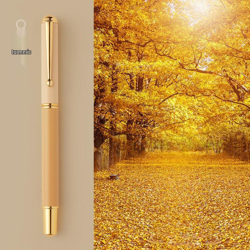 Children's Fine Nib Fountain Pen Set with Engravable Option, Includes Replaceable Ink Cartridges for Student Calligraphy Practice.