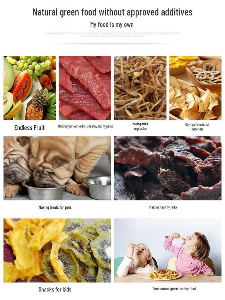 Compact Food Dehydrator for Fruits, Vegetables & Pet Snacks