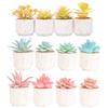 Gold Pattern White Background Ceramic Cup, Simulated Succulent Plant Potted Plant, Mini Potted Plant Office Home Supermarket Decorative Ornament