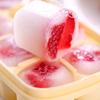 8 Grids Silicone Ice Cube Tray Mold With Clear Cover Summer Mould Fruit Maker