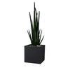 Planter EDA polypropylene Plastic Rectangular (Refurbished B)