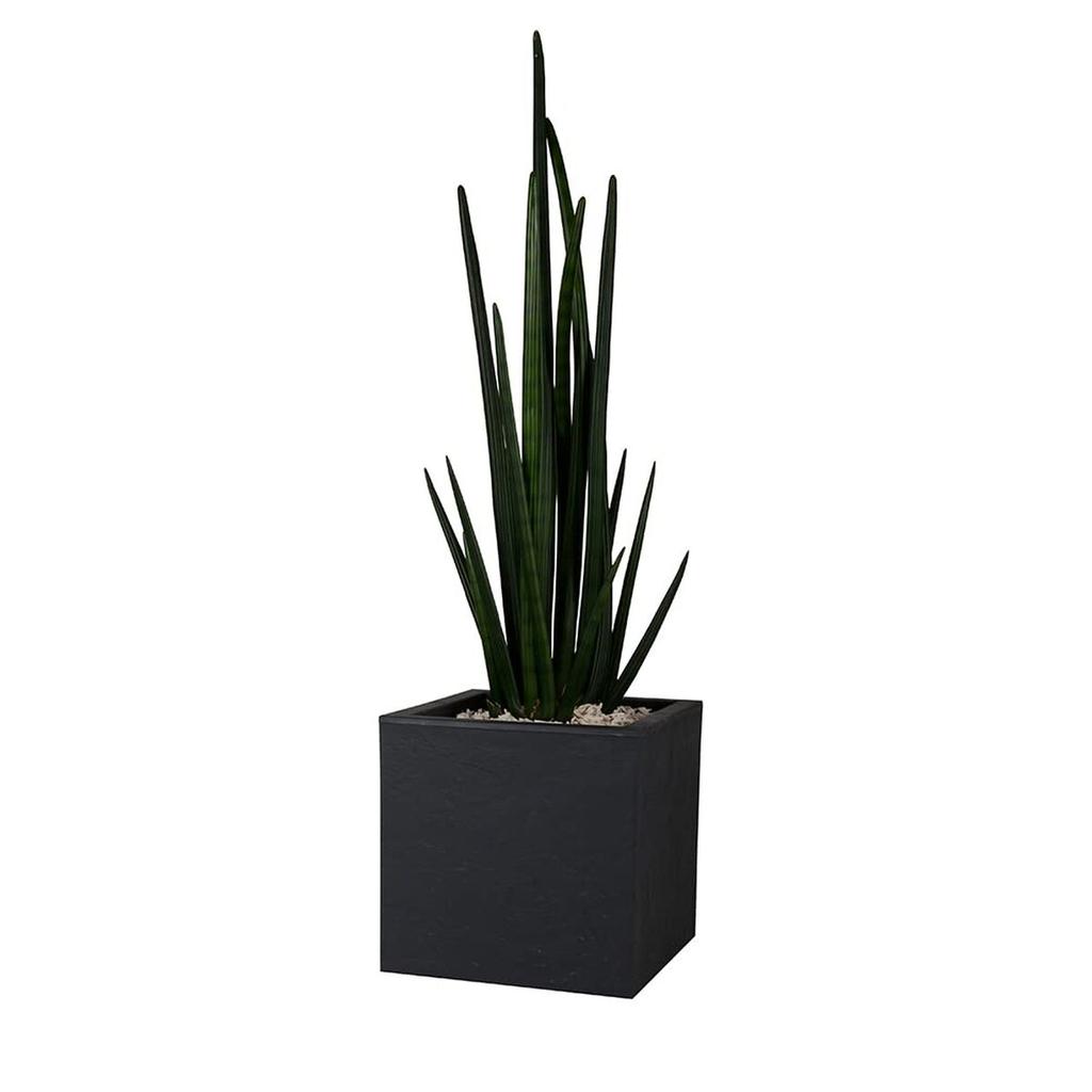Planter EDA polypropylene Plastic Rectangular (Refurbished B)