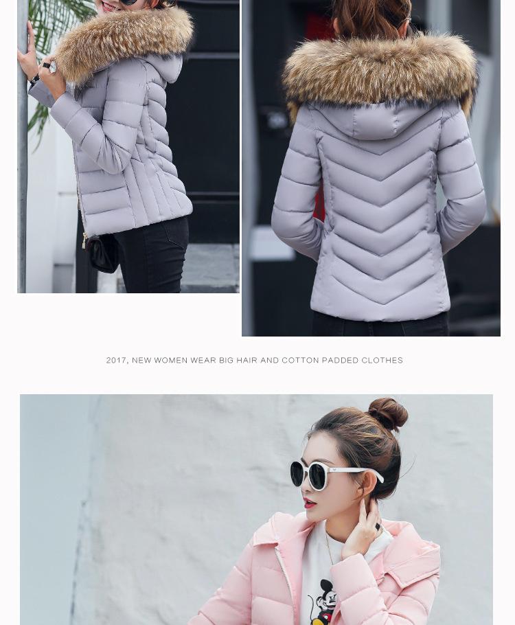 Korean Style Women's Short Slimming Cotton Padded Jacket - Autumn/Winter Outerwear for Cold Protection