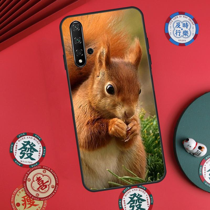 

Squirrel For Huawei Nova 5T 9 10 SE 7i 8i 11i 12i Y73 Y72 Y61 Y91 Y60 Y70 Y90 P20 P30 P40 Lite Case Huawei Nova 7i