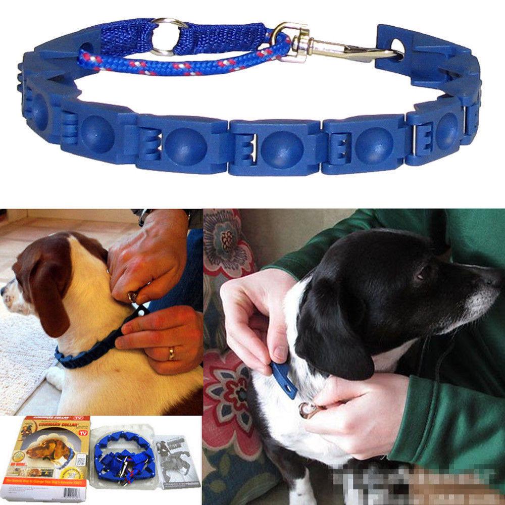 Cheap Perfect Adjustable Blue Dog Command Collar Pet Training Bark