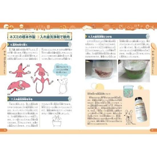 Interesting Specimen Laboratory From Creating Familiar Bone Specimens Secrets Exhibitions (Manabukk)