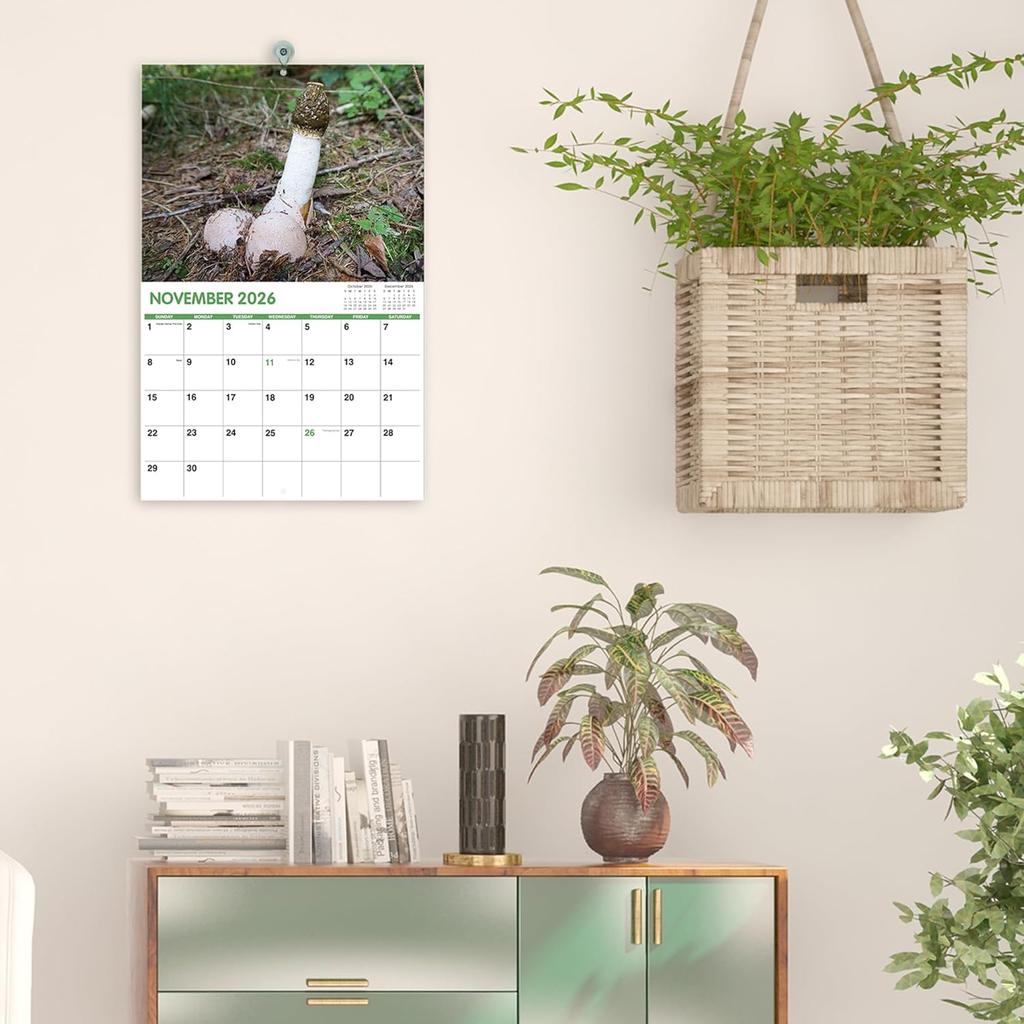Gag Gifts - Funny 2026 Wall Calendar, 2026 Calendar with Thick Paper, Jan. 2026 - Dec. 2026, 11" x 8.5", Best for White Elephant Gag Gifts