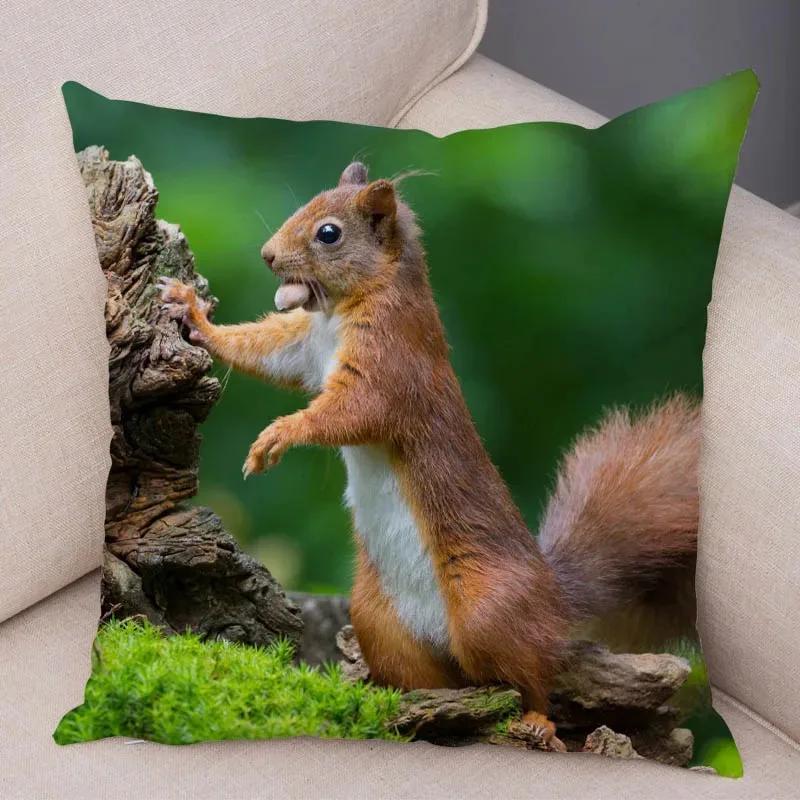 Cute Squirrel Cushion Cover Pillowcase Pillow Covers Home Decor Pet Animal Pillows Case Super Soft Polyester Pillows Covers