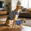 Breathable Pet Calming Shirt Adjustable Dog Chest Back Clothing Dog Anxiety Vest  Travel